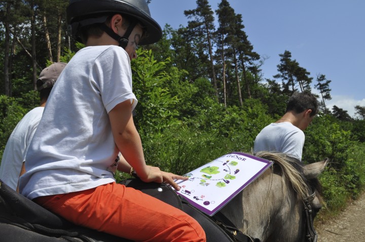 Chasse au trésor Crocoule